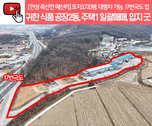 기획전 이미지