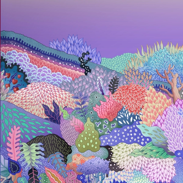 Collection image
