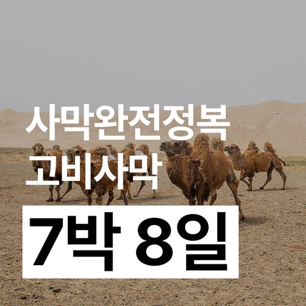 기획전 이미지