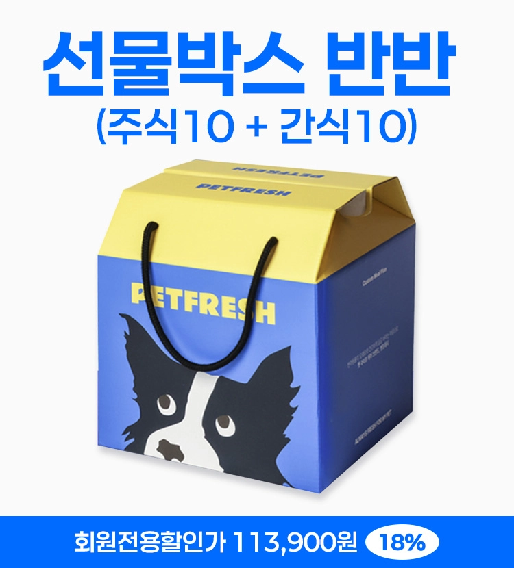 기획전 이미지