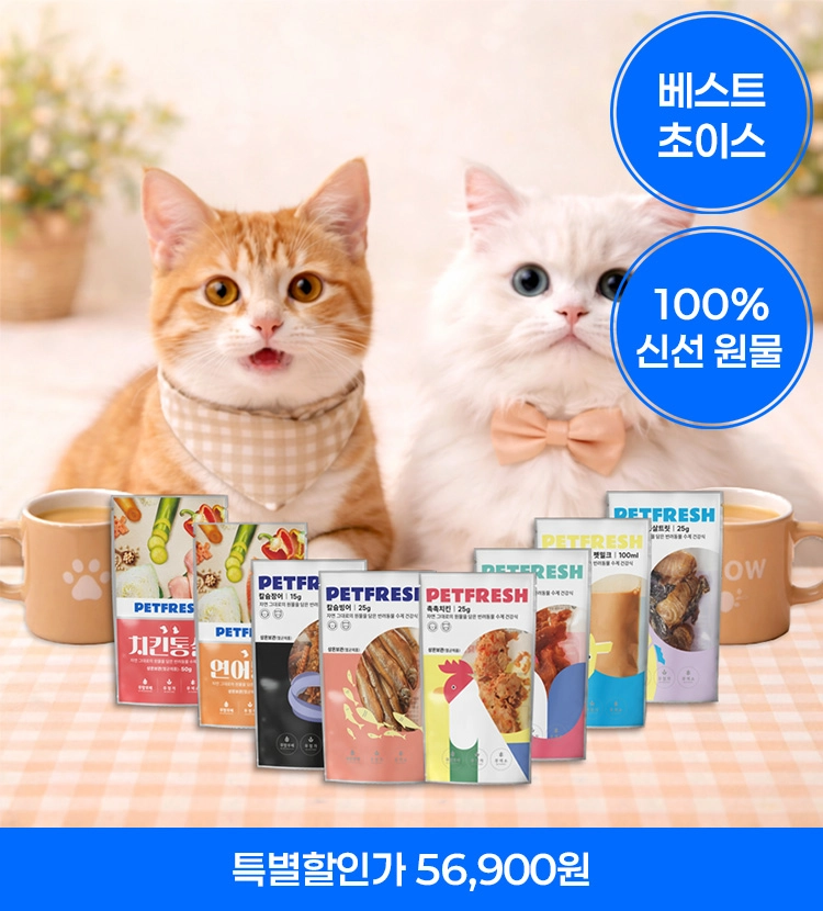 기획전 이미지