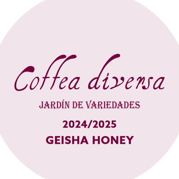 코스타리카 코페아 디버사 게이샤 허니 2024/2025