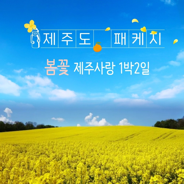 기획전 이미지
