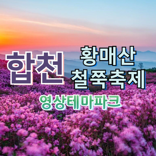 기획전 이미지