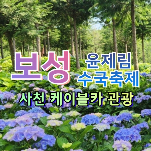 기획전 이미지