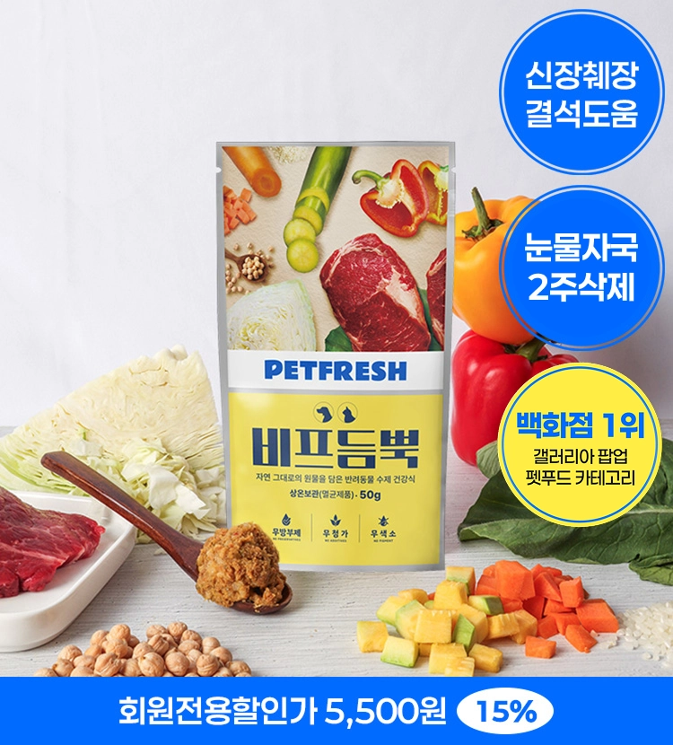 기획전 이미지