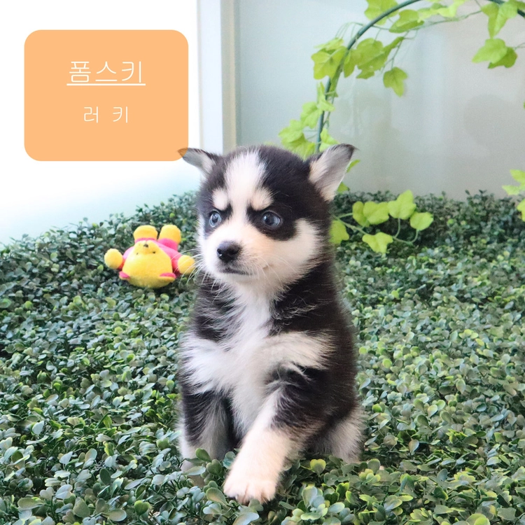 기획전 이미지