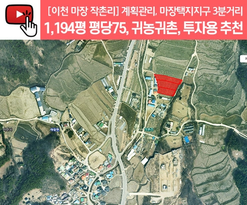 기획전 이미지
