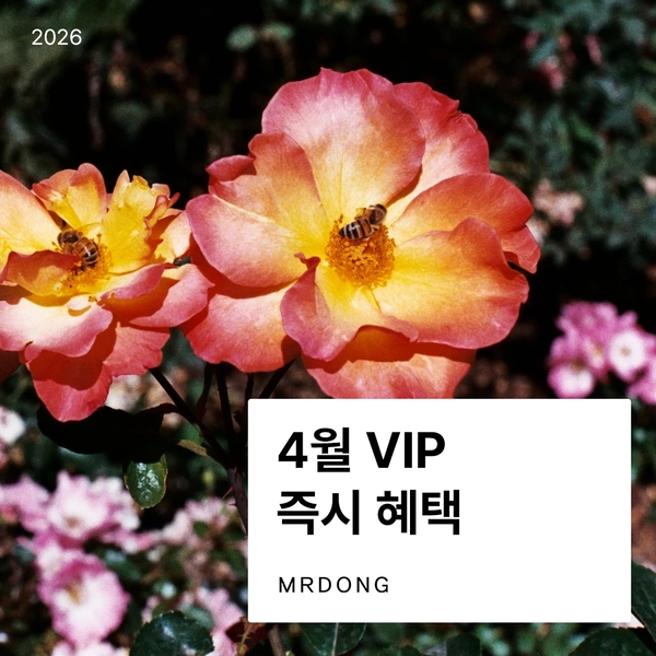 기획전 이미지