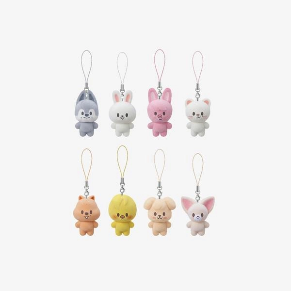 Collection image
