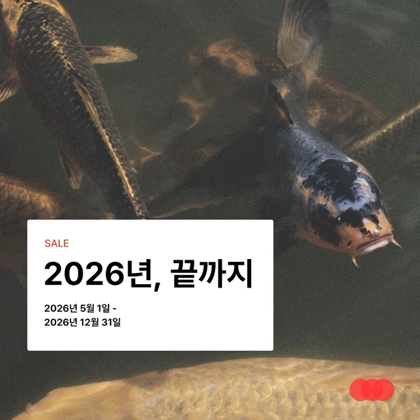 기획전 이미지