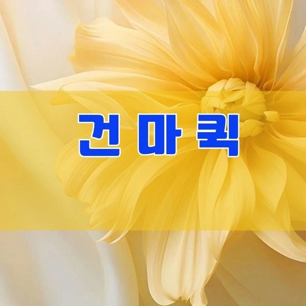 기획전 이미지