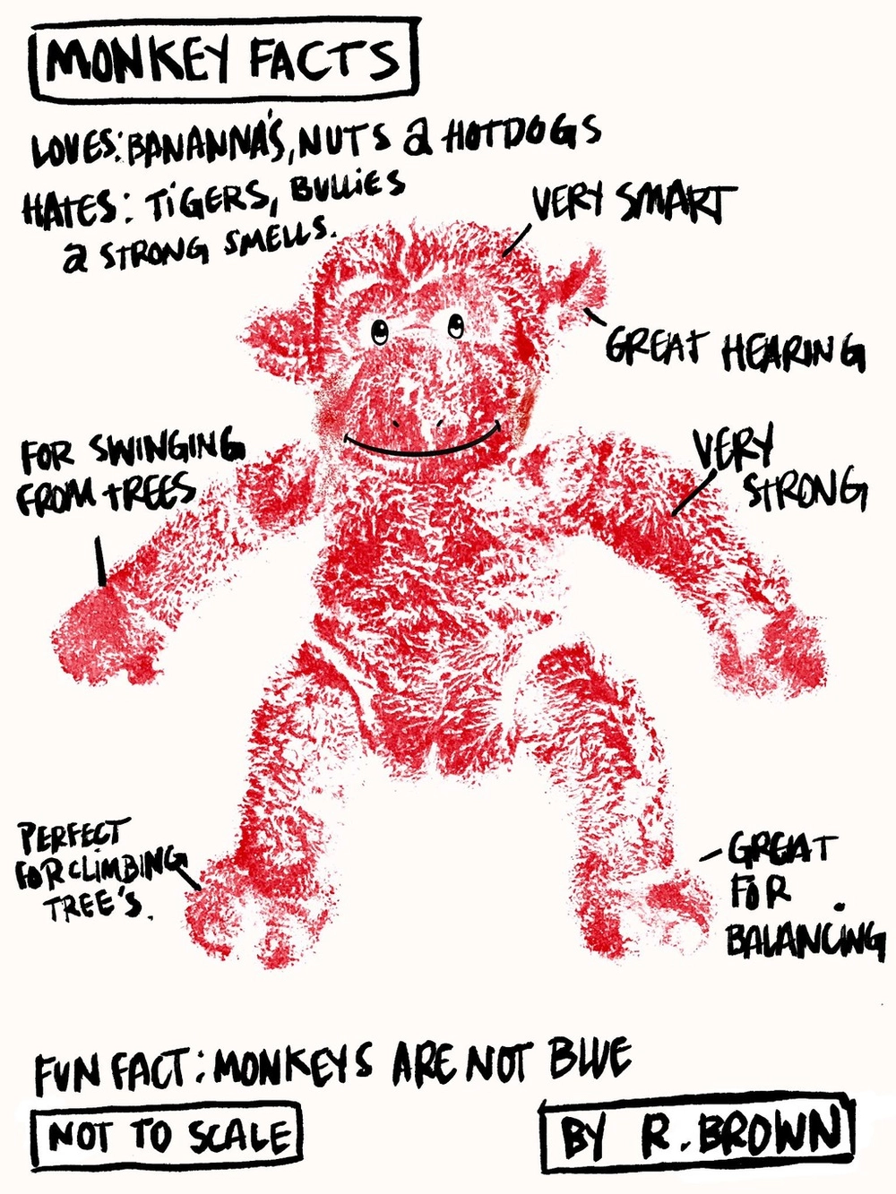 Rhys Brown - Monkey Facts (50 x 70cm) : 주식회사 솔바움