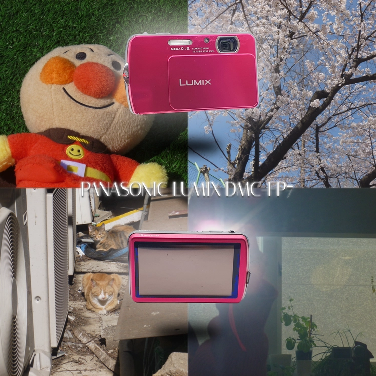 기획전 이미지
