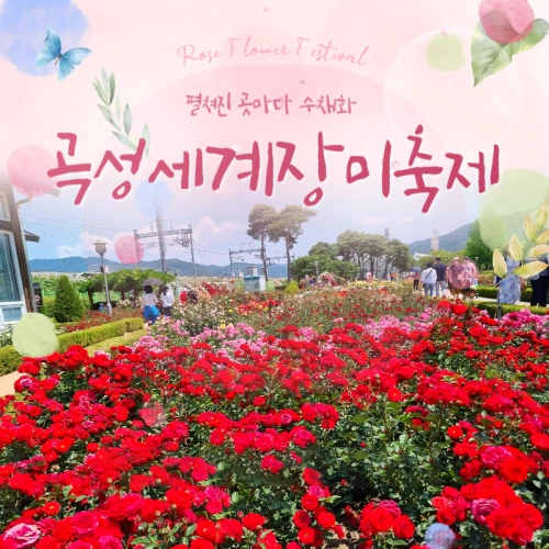 기획전 이미지