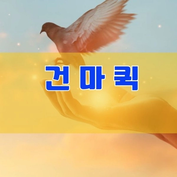 기획전 이미지
