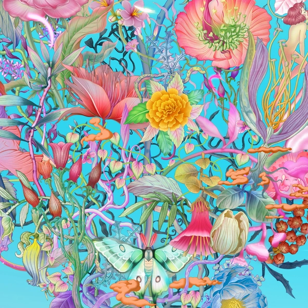 Collection image