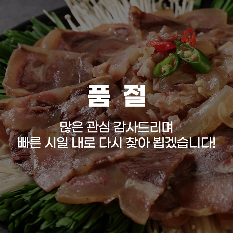 기획전 이미지