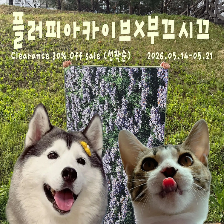 기획전 이미지