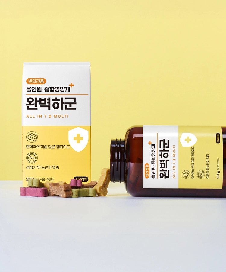 기획전 이미지