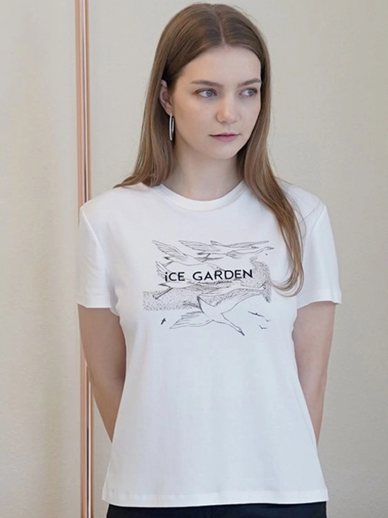 Collection image