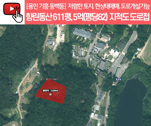 기획전 이미지