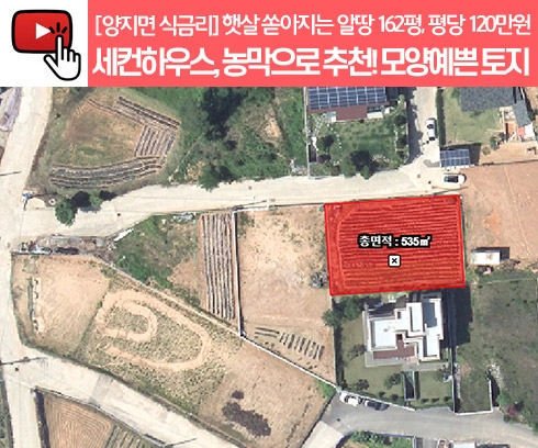 기획전 이미지