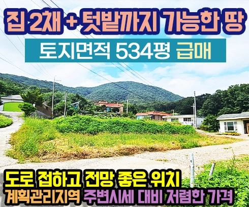 기획전 이미지