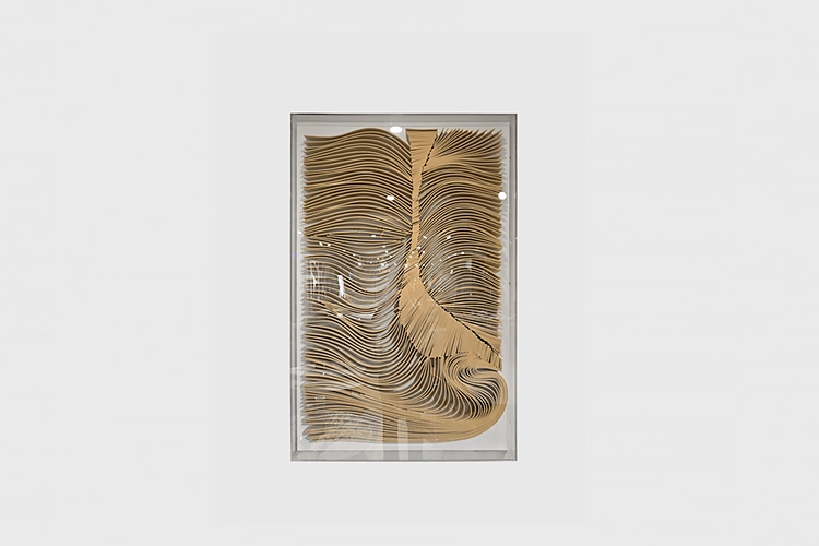 Collection image