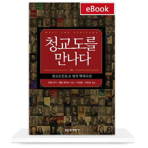 [eBook] 청교도를 만나다