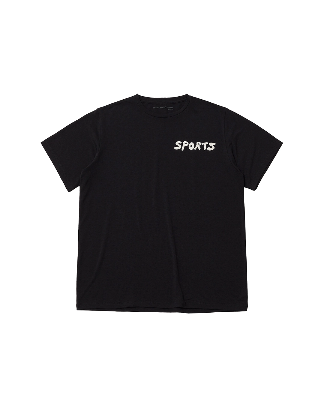 THE MUSEUM VISITOR THE MUSEUM VISITOR