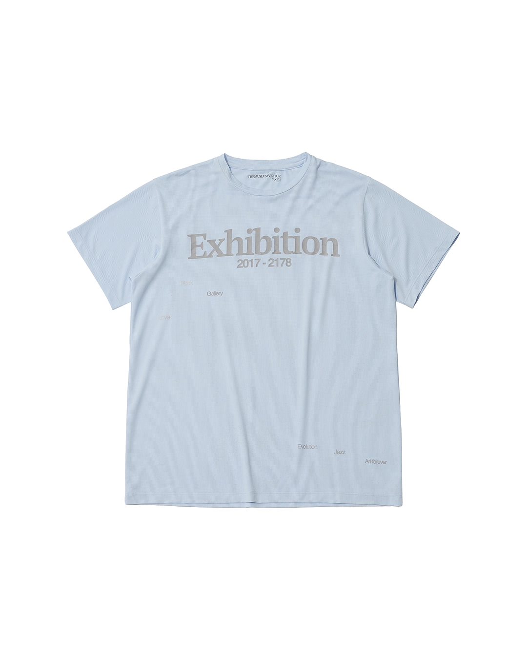 THE MUSEUM VISITOR THE MUSEUM VISITOR