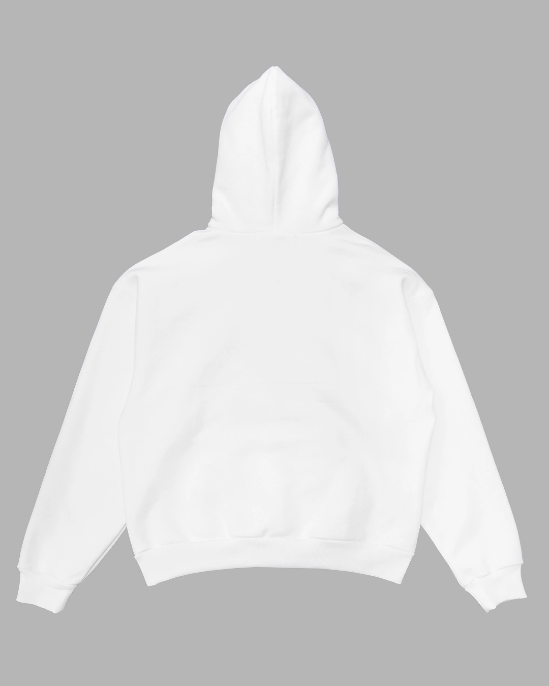 [THE MUSEUM VISITOR]★PARIS / BERLIN / SEOUL SPRAYED HOOD PARIS / BERLIN / SEOUL SPRAYED HOODY (WHITE) : THE MUSEUM