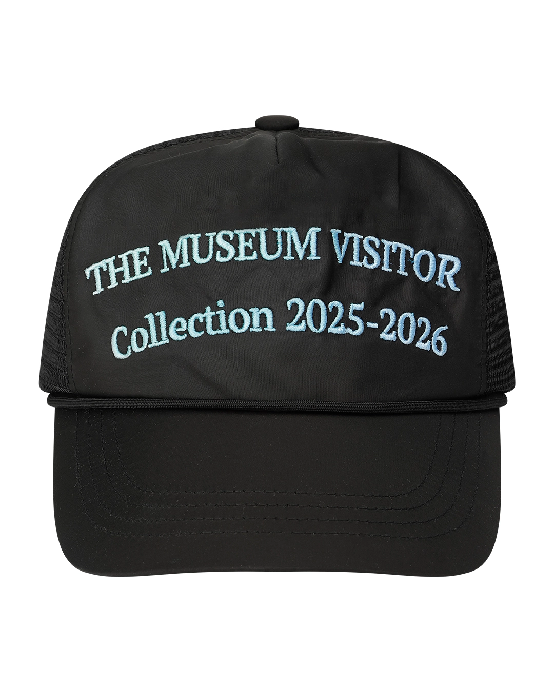 THE MUSEUM VISITOR