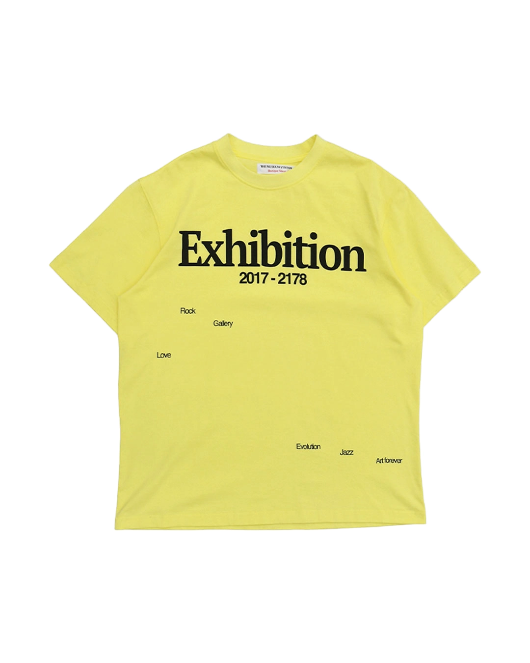 THE MUSEUM VISITOR