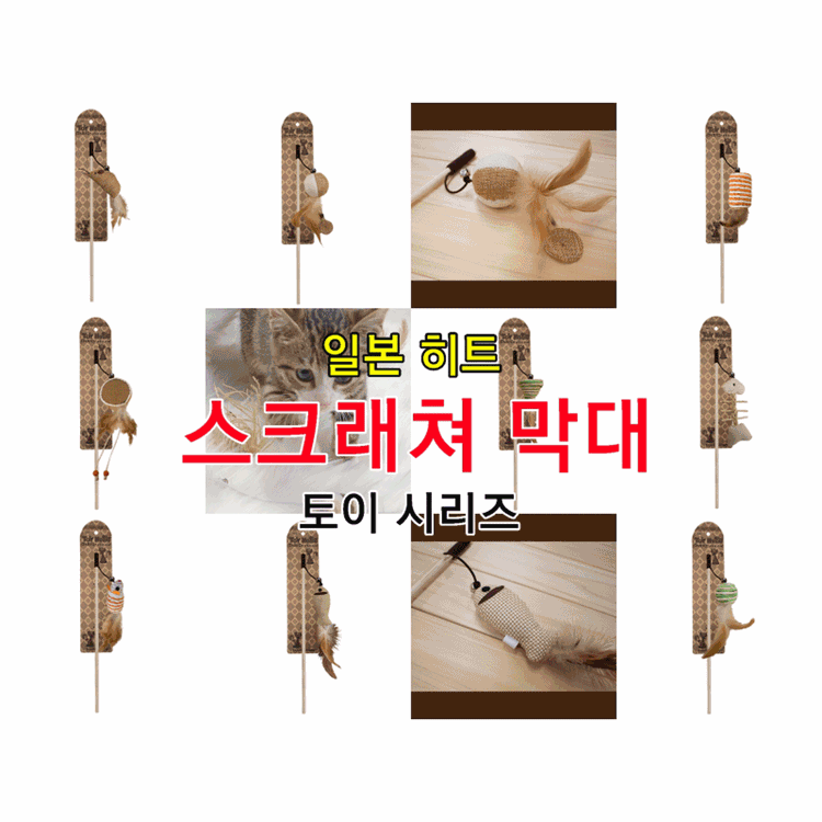 기획전 이미지