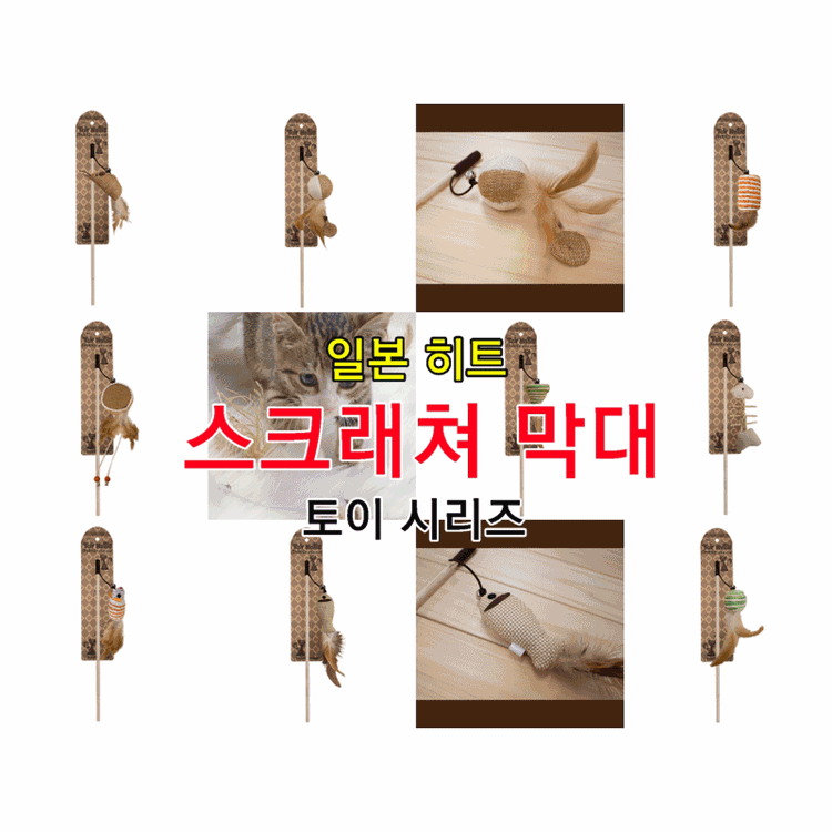 기획전 이미지