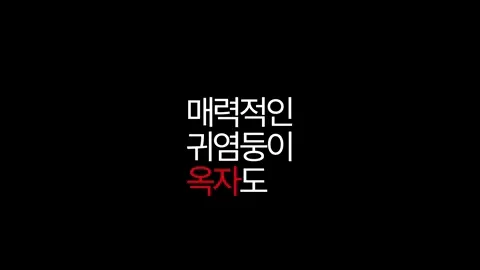 기획전 이미지