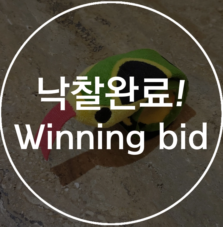 기획전 이미지