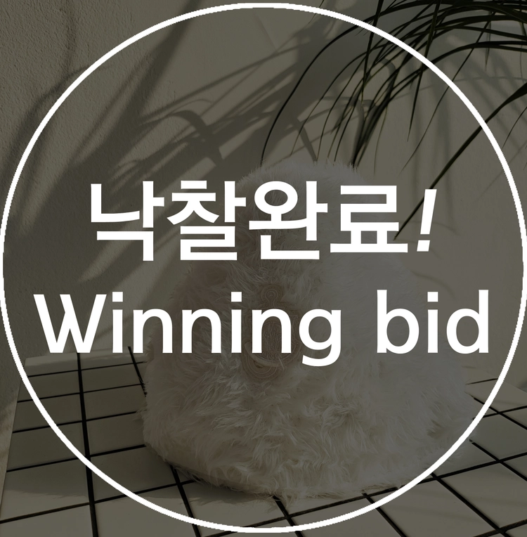 기획전 이미지