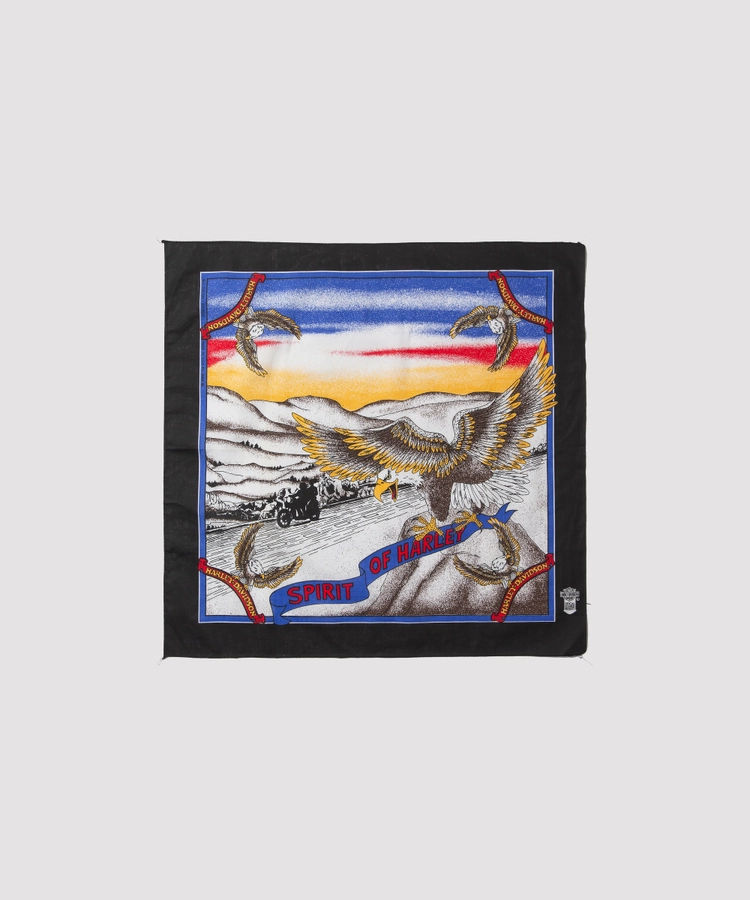 Collection image