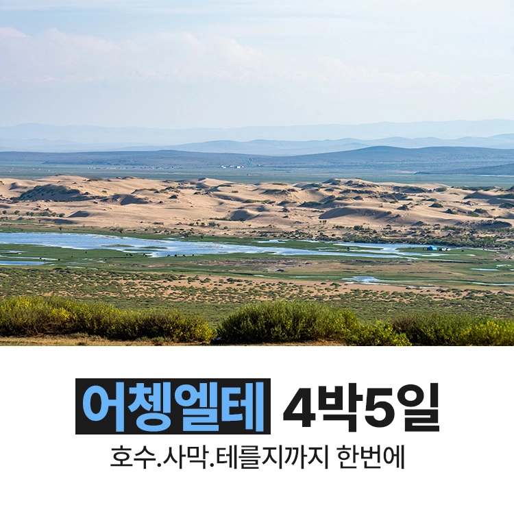 기획전 이미지