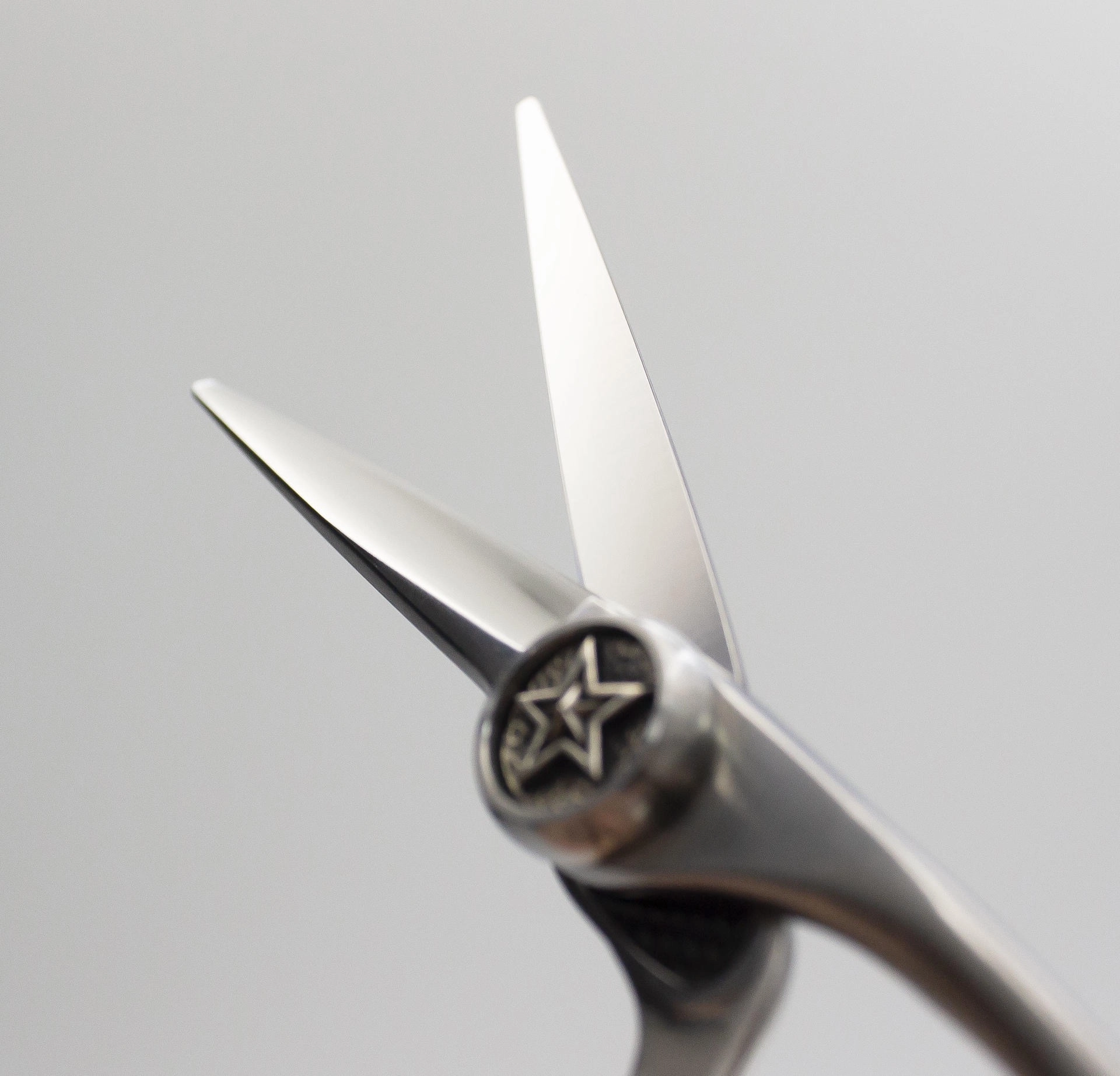 TOGINON NOBU 5.6 INCH : Shear Story