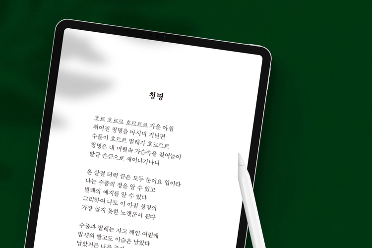 상품 이미지