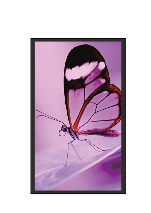 Collection image