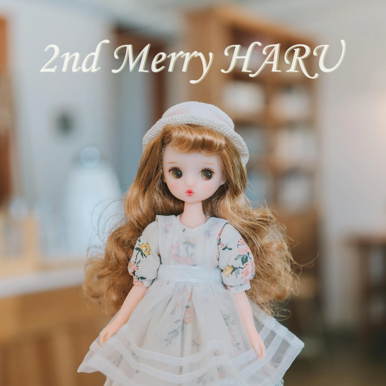 MERRY HARU DOLL ATELIER 韓国ドール Amazon | MERRY HARU DOLL ATELIER 韓国ドール | 人形・ドール