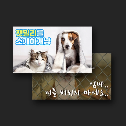 기획전 이미지