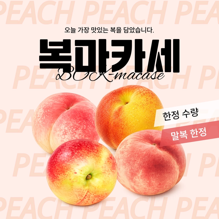 기획전 이미지