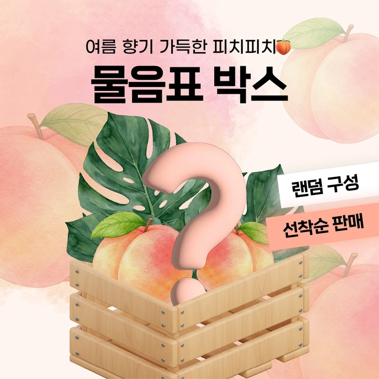 기획전 이미지