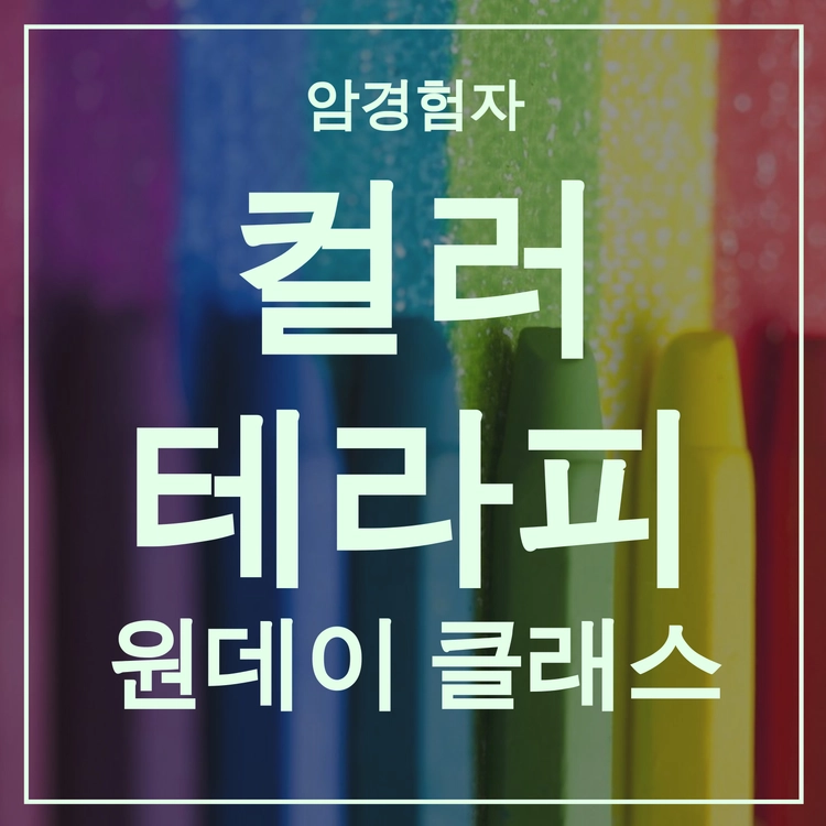 기획전 이미지